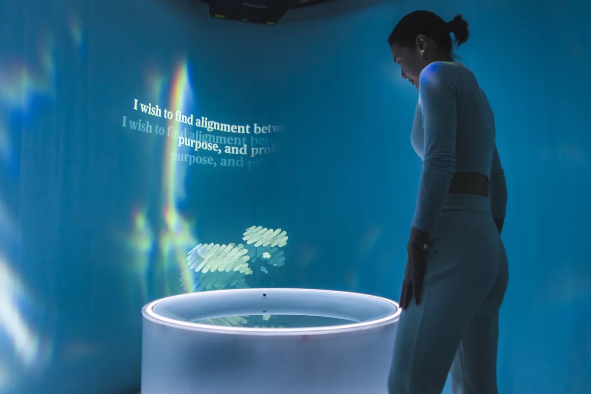 Conversations of Life installation